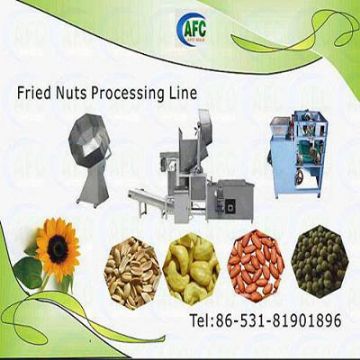 Fried  Nuts/Seeds Processing Line